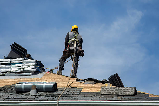 Professional Gutter Installation technician working in Watson, MN